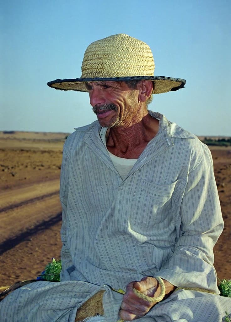 Portrait of a farmer on their land