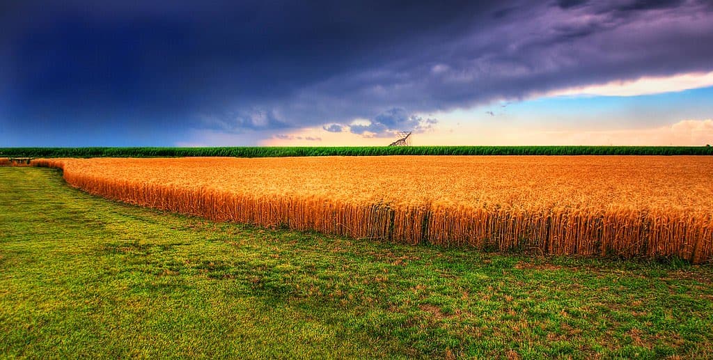 Heavy rain clouds building over open farmland