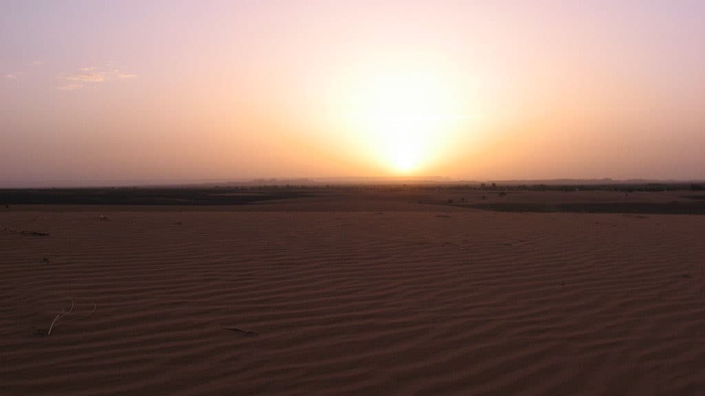 Sparse semi-arid savanna landscape typical of the Sahel