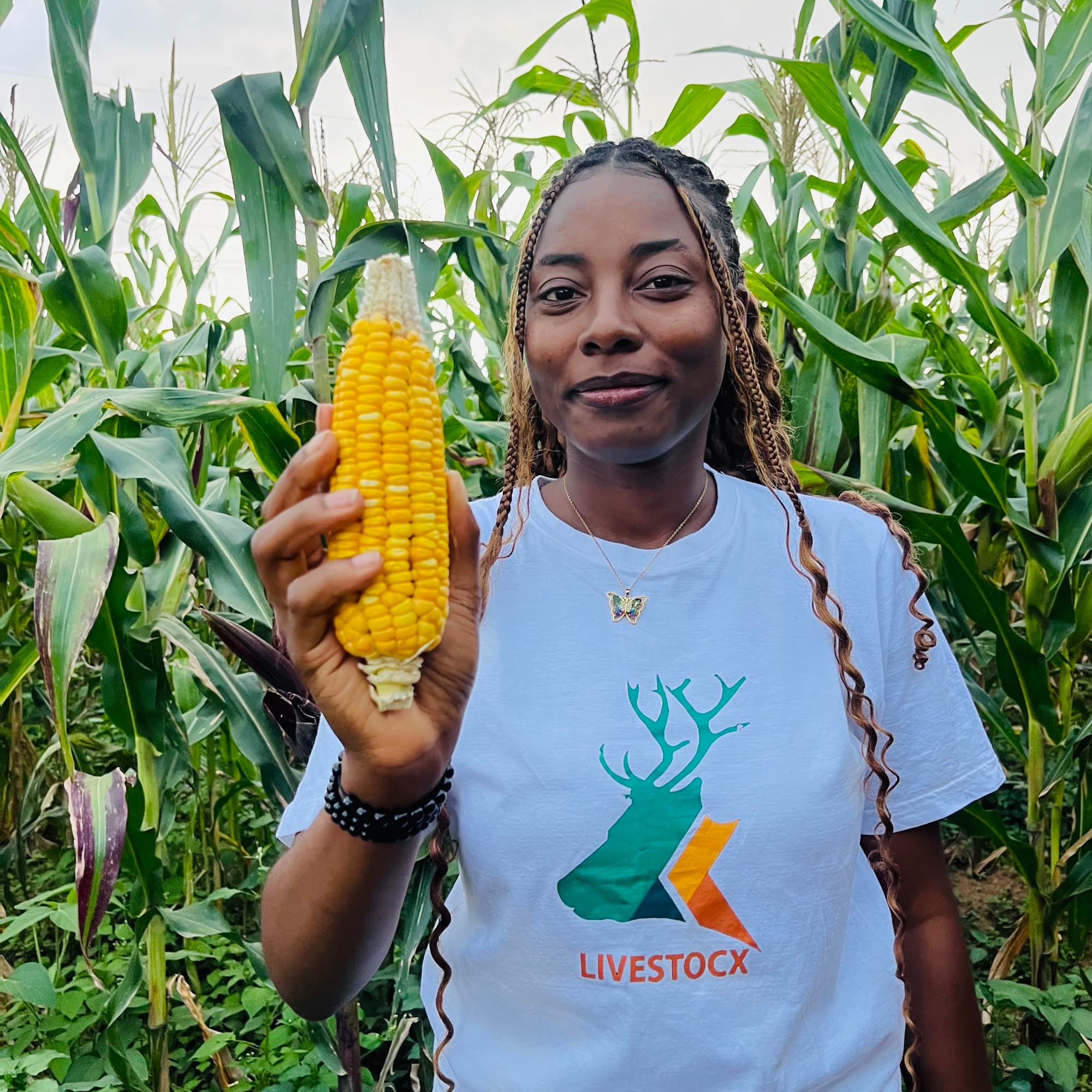 CropX cofounder Idokoh Divine Ojochide holding a freshly harvested ear of maize in a cornfield